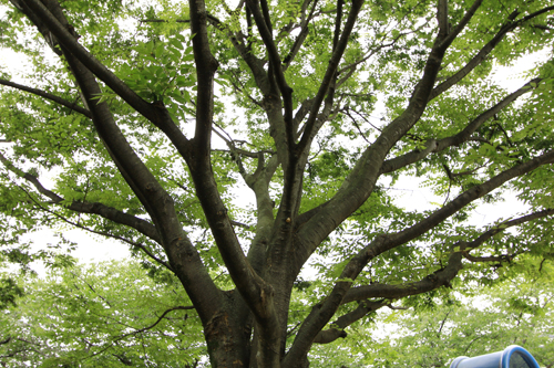 f:id:iengmwk:20130704165123j:image
