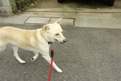 20130704171539