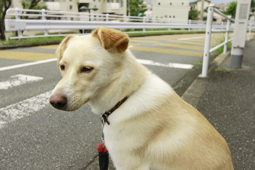20130704171540