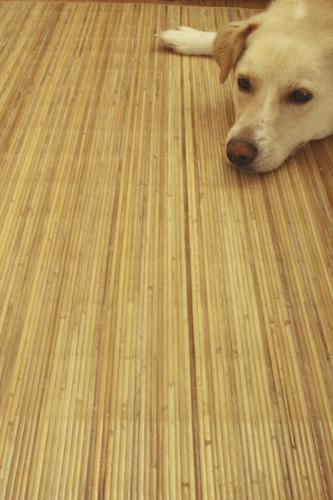 f:id:iengmwk:20130712224646j:image f:id:iengmwk:20130712224646j:image