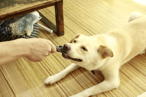 f:id:iengmwk:20130712233254j:image