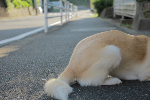 f:id:iengmwk:20130722091745j:image