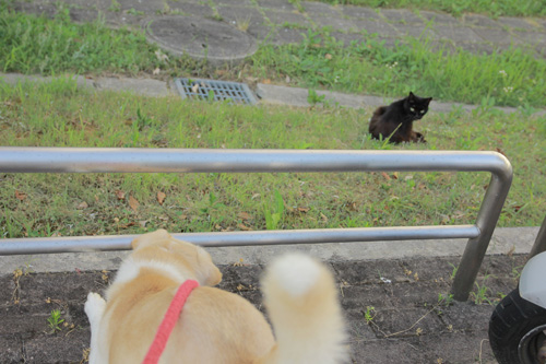 f:id:iengmwk:20130722091746j:image