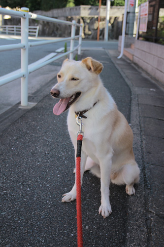 f:id:iengmwk:20130722091747j:image