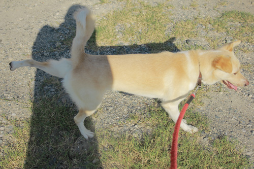 f:id:iengmwk:20130722091748j:image