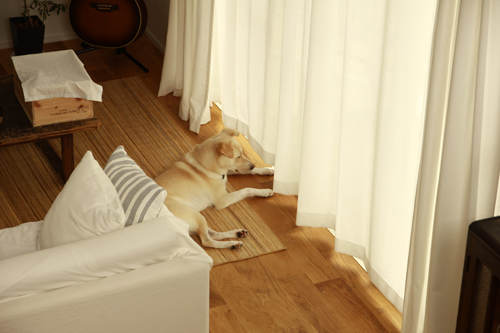 f:id:iengmwk:20130902190028j:image