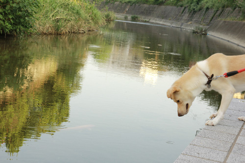 f:id:iengmwk:20130923164328j:image