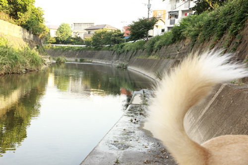 f:id:iengmwk:20130923164329j:image