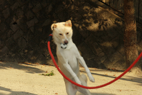 f:id:iengmwk:20130923164401j:image