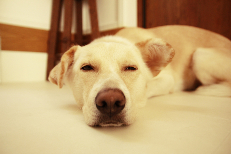 f:id:iengmwk:20131012163715j:image
