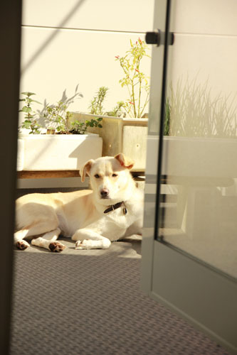 f:id:iengmwk:20131113121954j:image