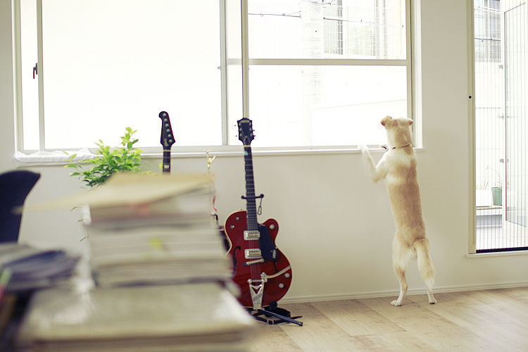 f:id:iengmwk:20131116195116j:image