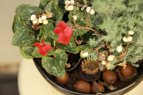 f:id:iengmwk:20131125182008j:image
