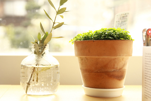 f:id:iengmwk:20140206144036j:image