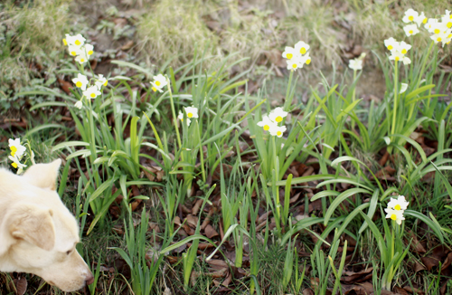 f:id:iengmwk:20140219112101j:image