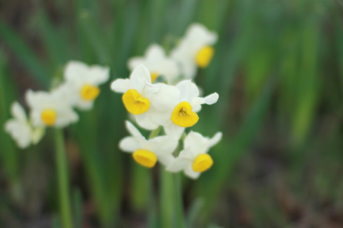 f:id:iengmwk:20140219112103j:image