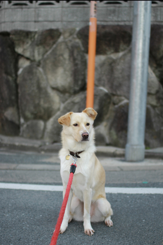 f:id:iengmwk:20140219112711j:image