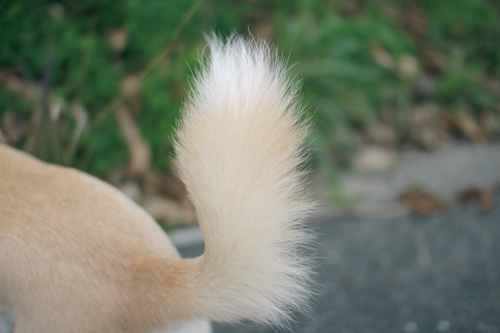 f:id:iengmwk:20140219112712j:image