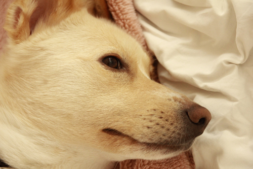 f:id:iengmwk:20140321133831j:image