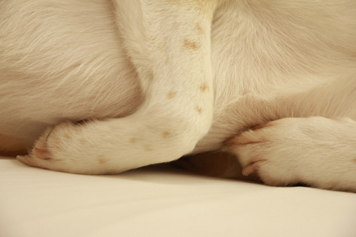 f:id:iengmwk:20140321133833j:image