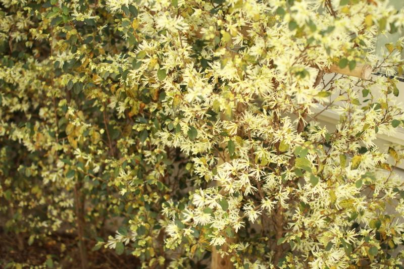 f:id:iengmwk:20140324145452j:image