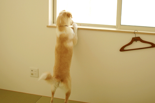 f:id:iengmwk:20140328093931j:image