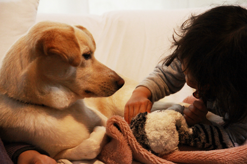f:id:iengmwk:20140406115324j:image