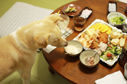 20140420100814