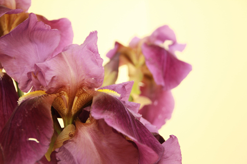f:id:iengmwk:20140427110141j:image