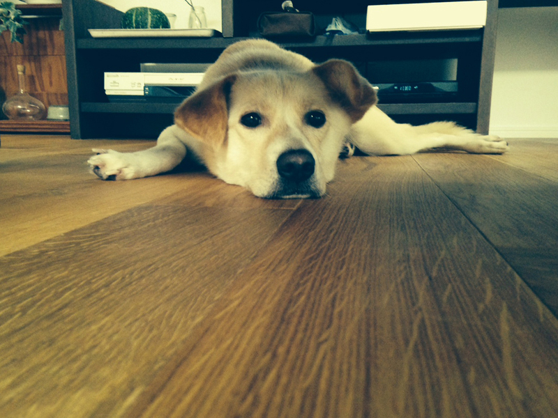 f:id:iengmwk:20140623215927j:image