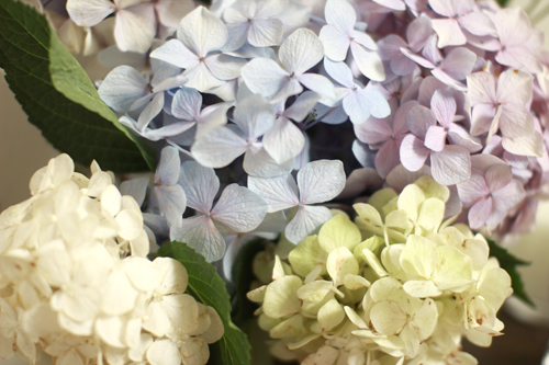 f:id:iengmwk:20140704110438j:image