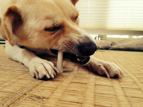 f:id:iengmwk:20140911143646j:image