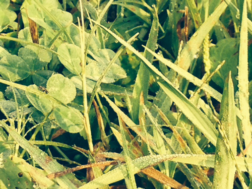 f:id:iengmwk:20140912095507j:image