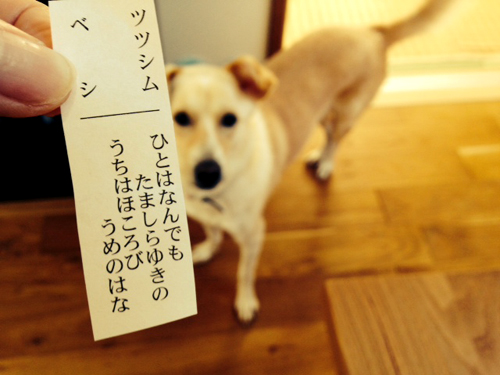 f:id:iengmwk:20140913160834j:image