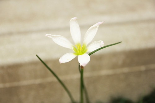f:id:iengmwk:20140918142641j:image
