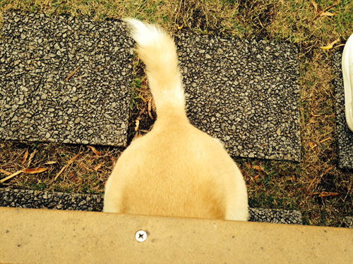 f:id:iengmwk:20140922135059j:image