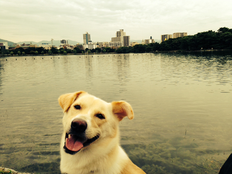 f:id:iengmwk:20140922135102j:image