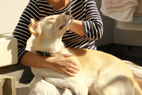 f:id:iengmwk:20141023101702j:image