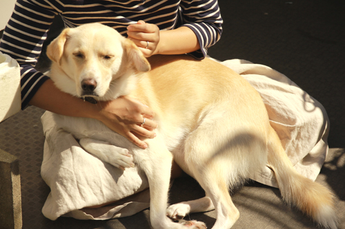 f:id:iengmwk:20141023101704j:image