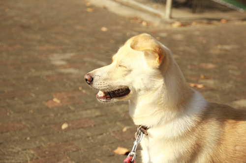 f:id:iengmwk:20141023101846j:image