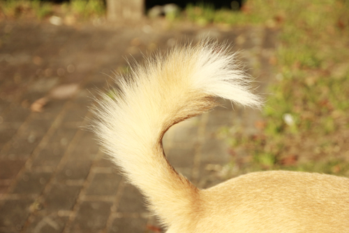 f:id:iengmwk:20141023101848j:image