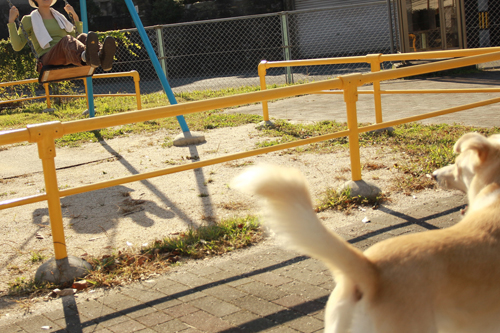 f:id:iengmwk:20141023101849j:image