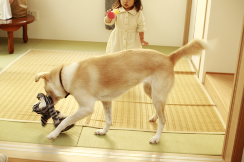 f:id:iengmwk:20141101102629j:image