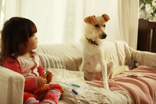 f:id:iengmwk:20141101103744j:image