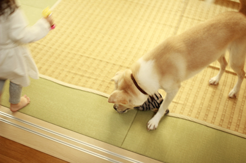 f:id:iengmwk:20141101103958j:image