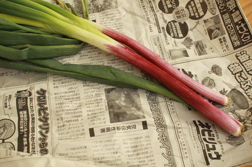 f:id:iengmwk:20141105135116j:image