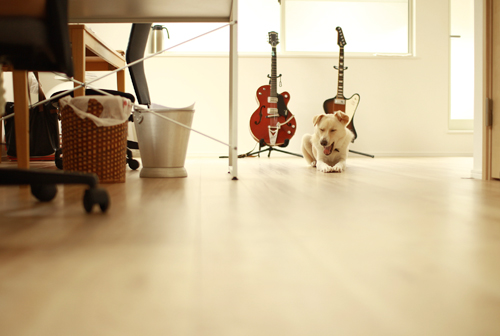 f:id:iengmwk:20141112132332j:image