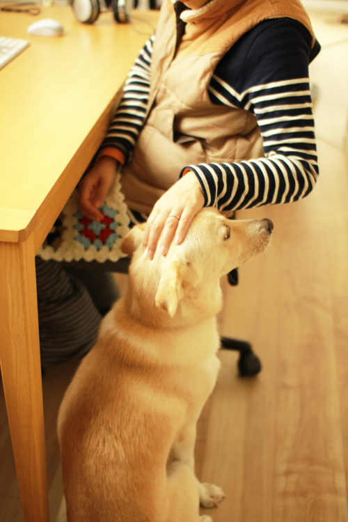 f:id:iengmwk:20141112132342j:image