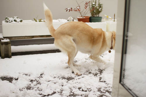 f:id:iengmwk:20150105141642j:image