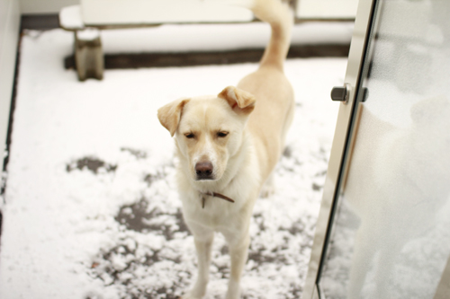f:id:iengmwk:20150105141644j:image